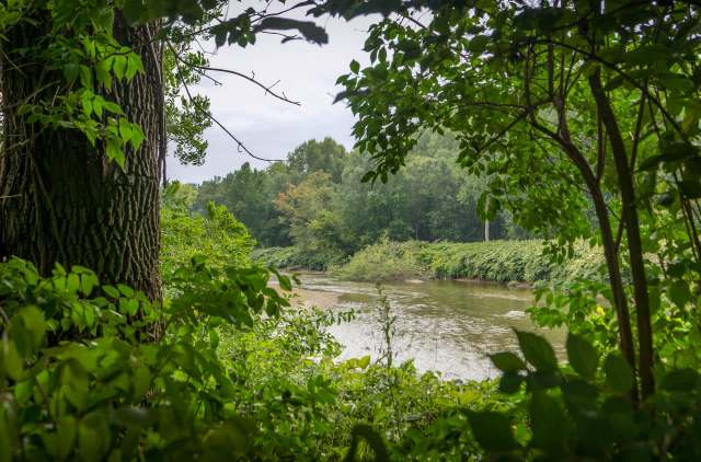 The Jessie Smith Nature Preserve in Kent, Ohio, will expand by nearly 36.5 acres thanks to land gifted by the Stream + Wetlands Foundation.