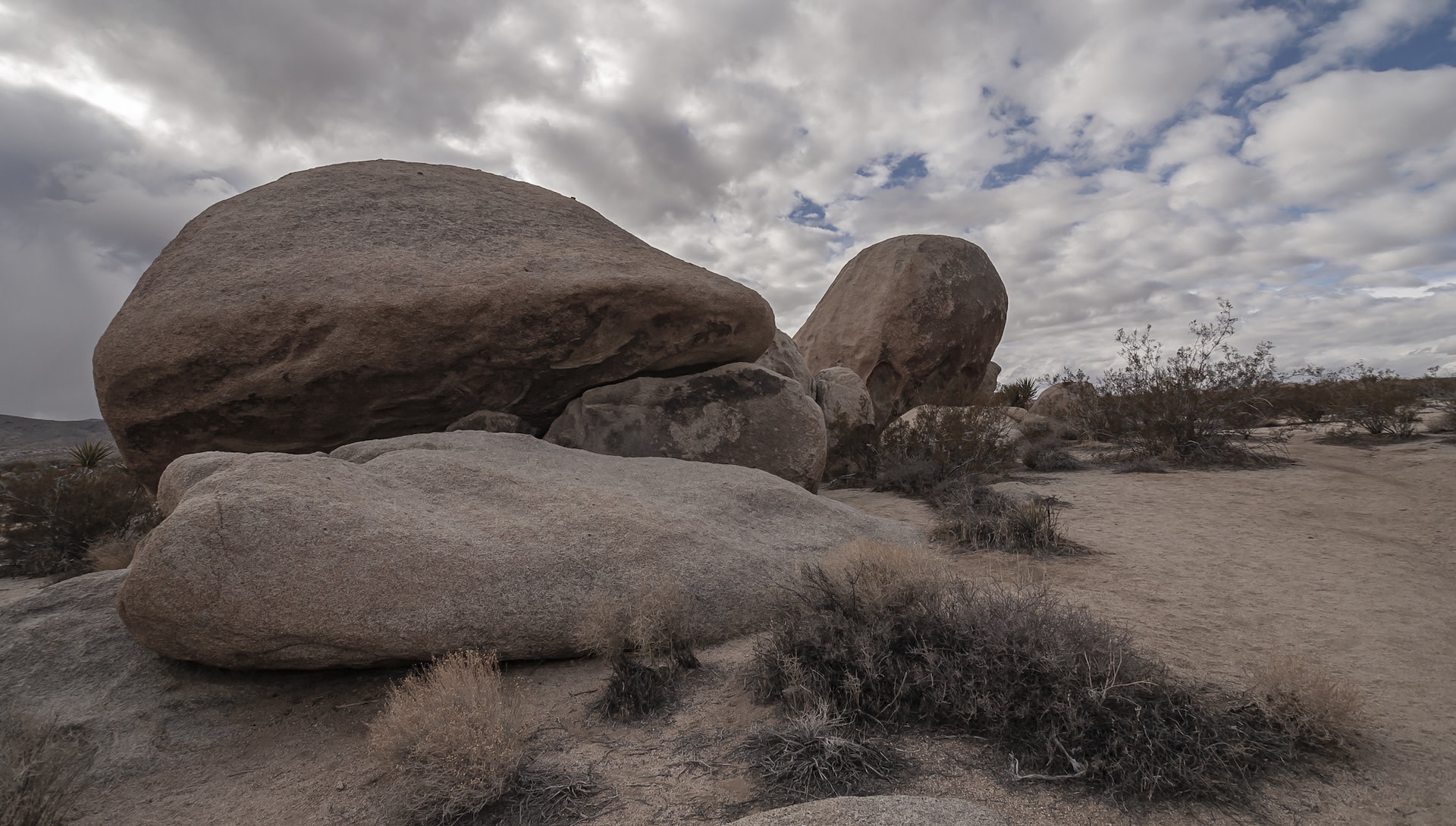 Onlooker captures photo of tourist's thoughtless behavior in national park: 'Call him out'