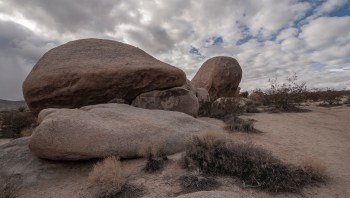 A Redditor shared a photo of a man circumventing a national park's sign with the caption, "Someone needs to come get their dad."