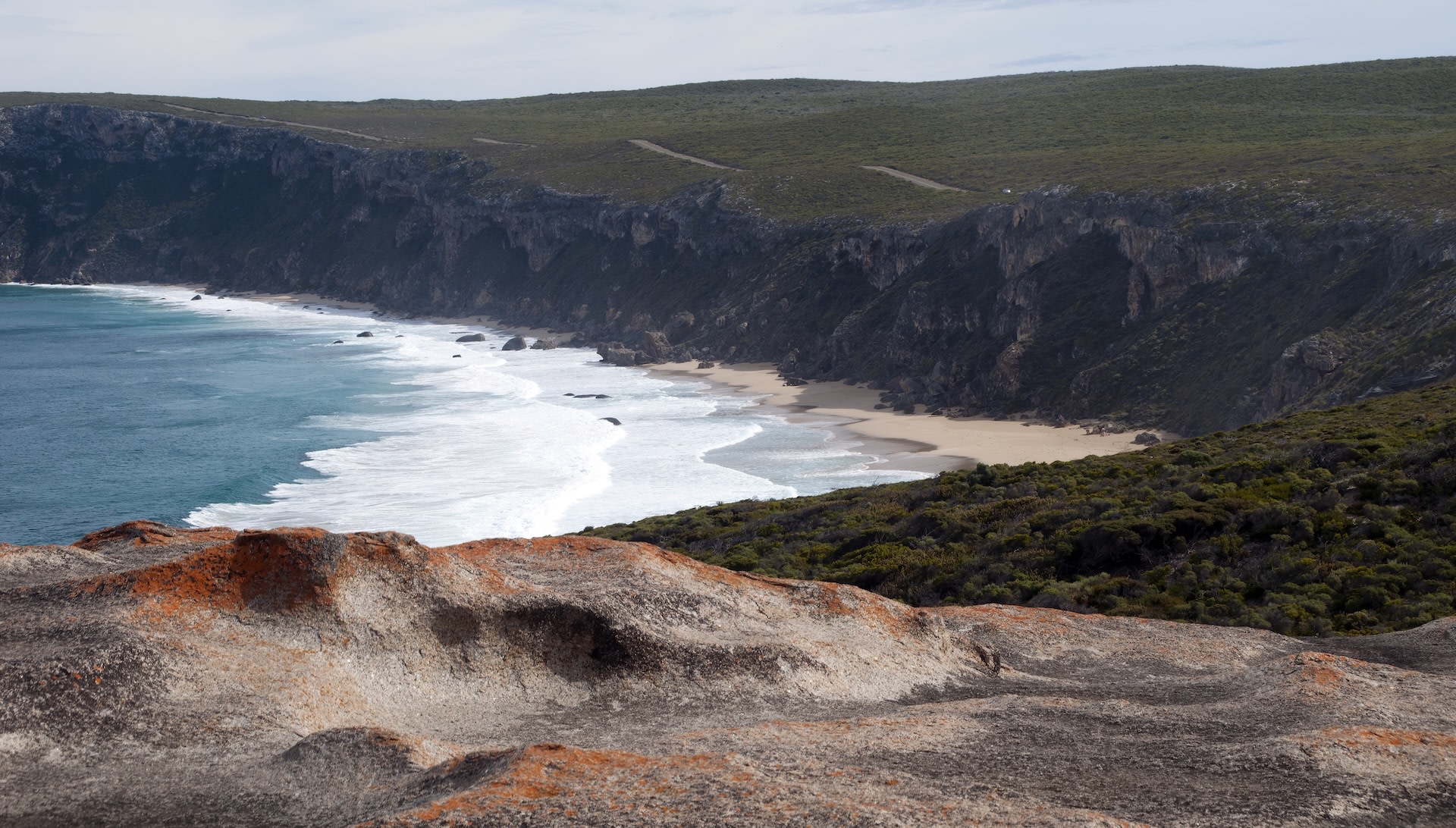 Researchers stunned after finding rare creatures in unexpected location: 'The last thing I expected to find'