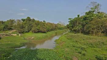 An India Today's article reports on the Kati Bihu Bird Count 2025 at Kaziranga National Park, which discovered endangered and vulnerable bird species.