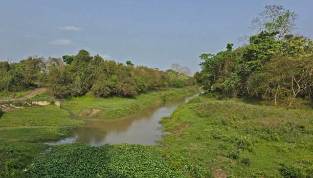 An India Today's article reports on the Kati Bihu Bird Count 2025 at Kaziranga National Park, which discovered endangered and vulnerable bird species.