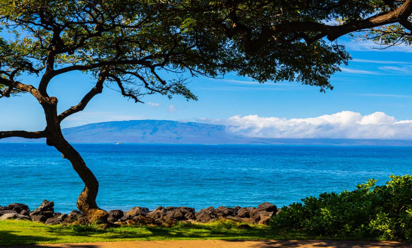 Nearly every home, business, and stretch of coastline on the island of Lāna'i falls under the ownership of billionaire tech entrepreneur Larry Ellison.
