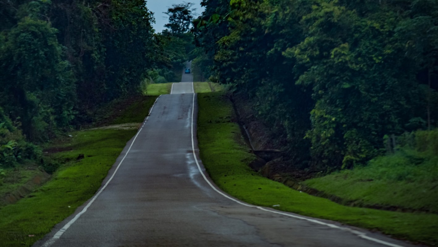 There are only about 150 Malaysian tigers left, making them a critically endangered species.