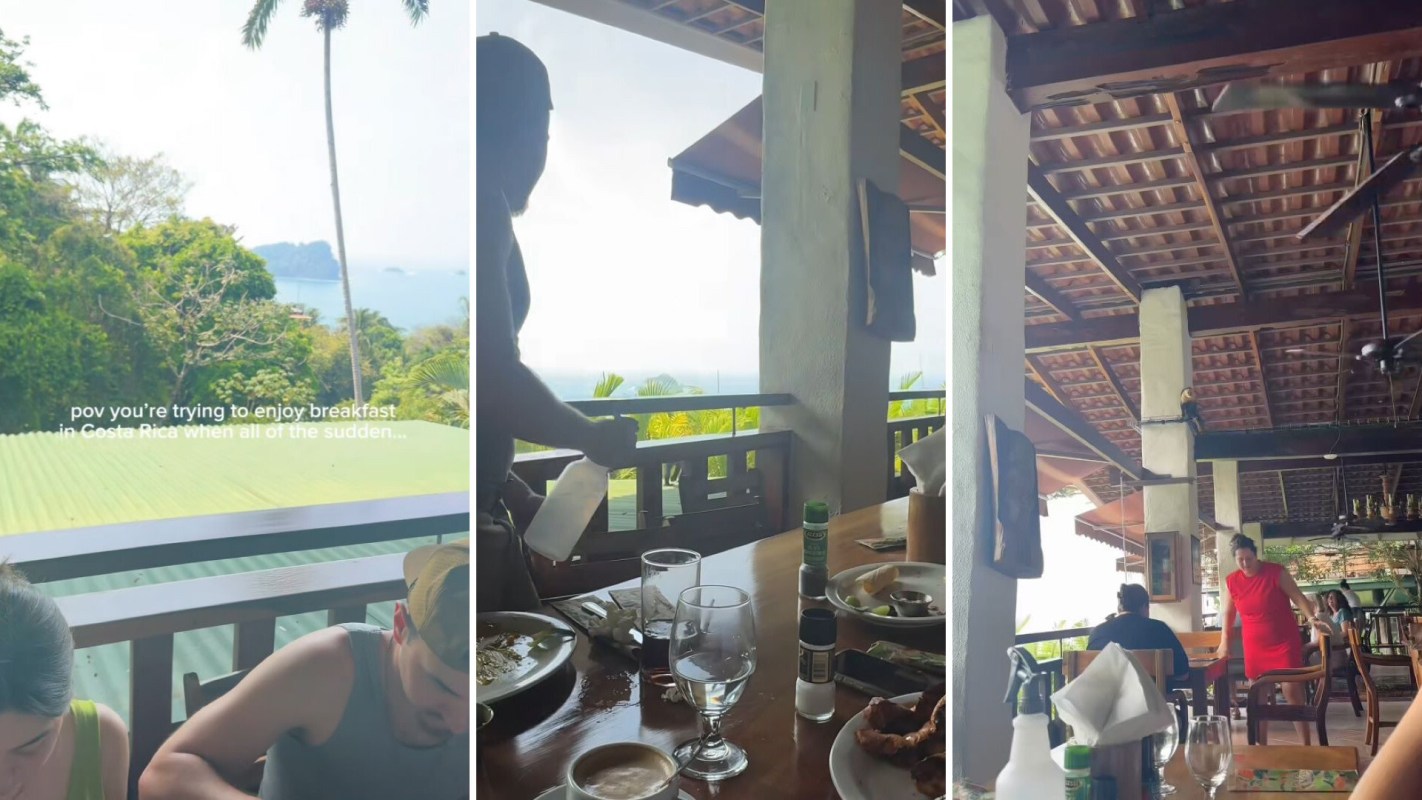 One TikTok user shared a video of a wild encounter with monkeys at Costa Rica's Manuel Antonio National Park.
