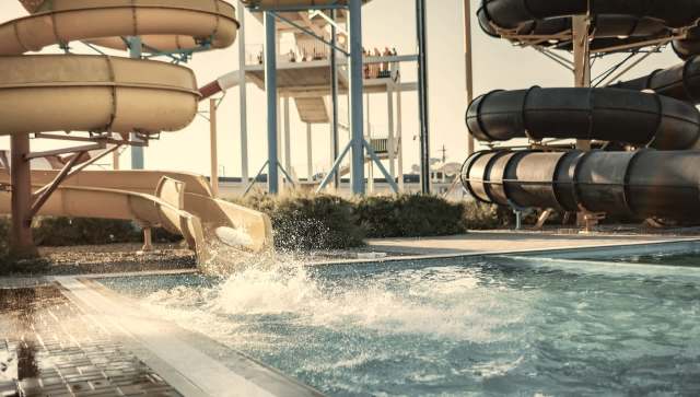 The once tourist attraction, Marineland, in Ontario, Canada, is now at the center of a controversial and disturbing predicament: the park has indicated that roughly 30 captive beluga whales under its care may be euthanized.