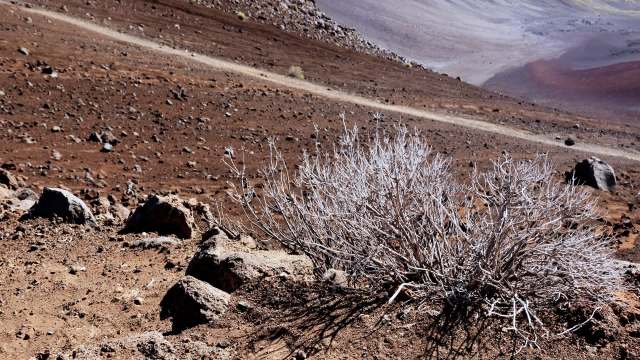 Maui is taking strong steps to hold residents accountable for their water-conservation efforts.