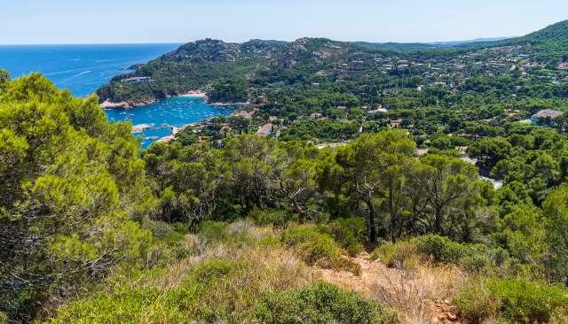 Scientists from the University of South Bohemia debunked an ancient belief about the Mediterranean landscape.