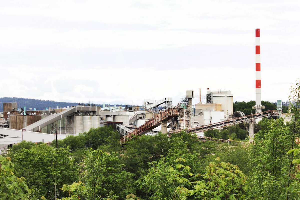 Mercer Celgar Pulp Ltd., which owns the oldest pulp and paper mill in British Columbia, was recently charged with violating the allowed amount of total reduced sulfur it can release into the air on multiple occasions between 2023 and 2025.