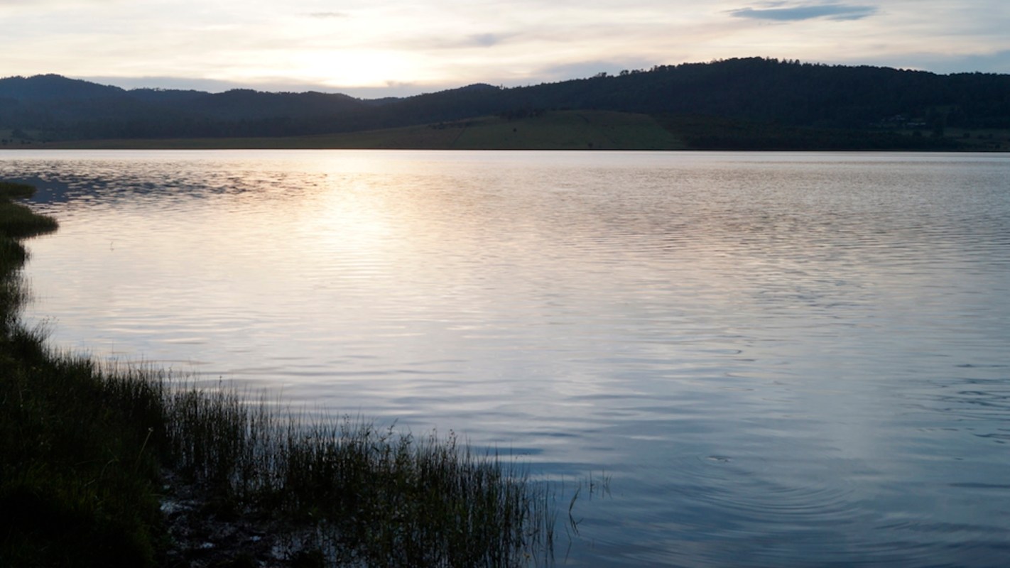 Maine's officials are offering a hefty bounty for information leading to the arrest of the person who introduced invasive largemouth bass to a pristine lake.