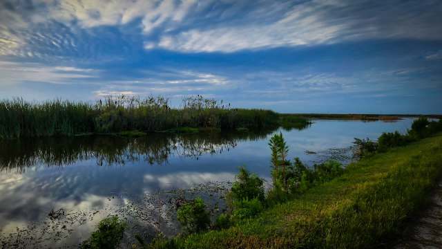 Researchers from Florida International University recently detected 12 different perfluoroalkyl and polyfluoroalkyl substances within the Miccosukee Indian Reservation.