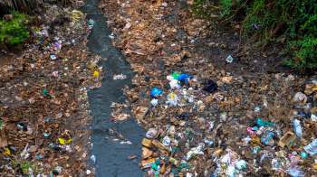 An Instagram video taken in Guatemala is highlighting a visceral issue caused by negligence for the environment.