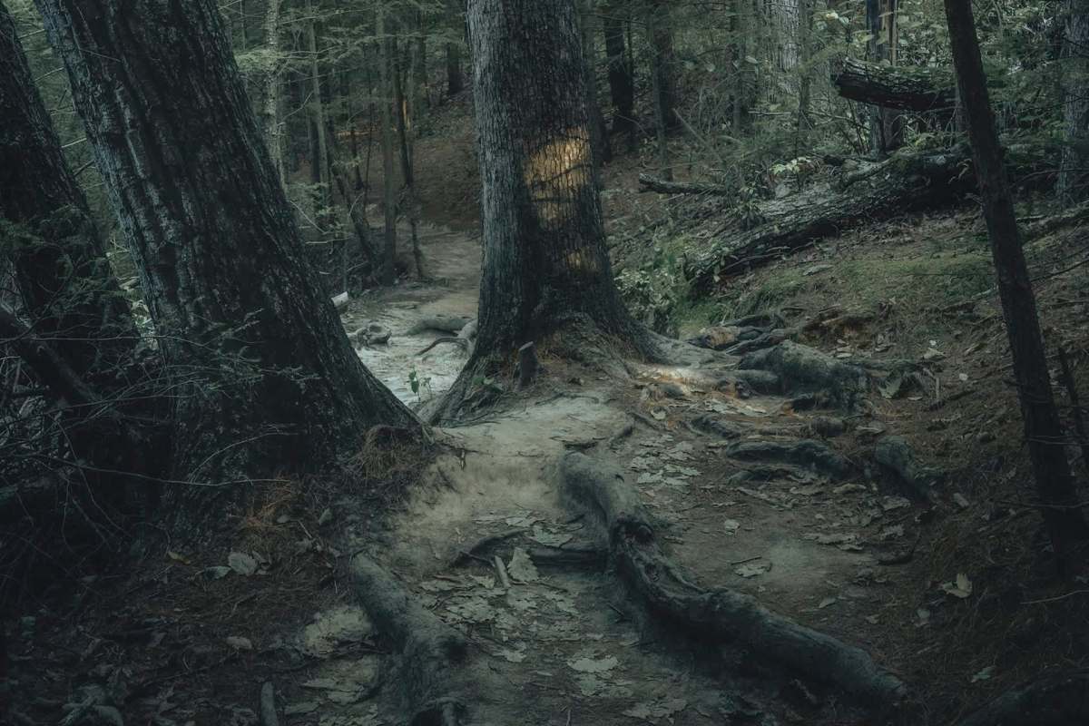 A Redditor explained how one hiker discovered a surging river of trash in Nashville, highlighting the city's litter problem.
