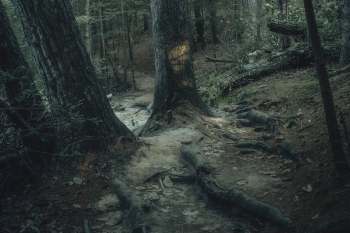 A Redditor explained how one hiker discovered a surging river of trash in Nashville, highlighting the city's litter problem.
