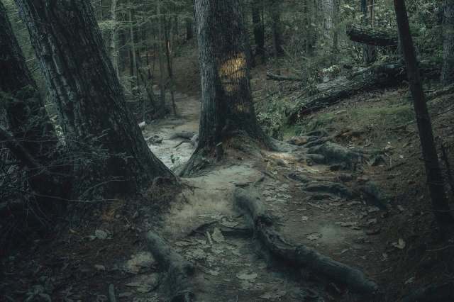 A Redditor explained how one hiker discovered a surging river of trash in Nashville, highlighting the city's litter problem.