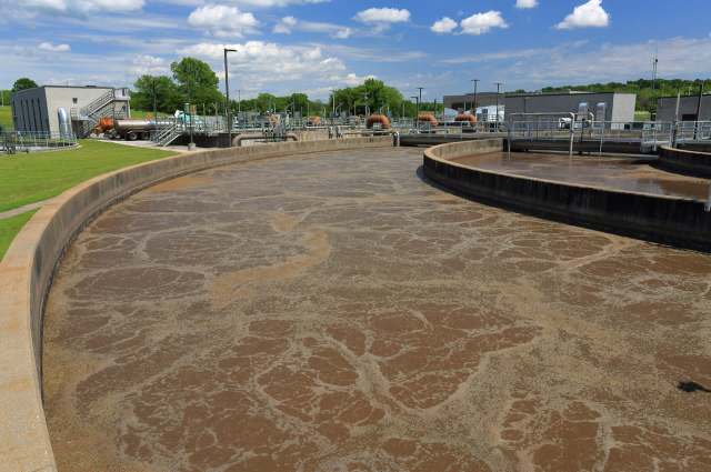 A large-scale laundry facility in the Netherlands is contributing substantially to urban wastewater pollution from microplastics shedding into the environment.