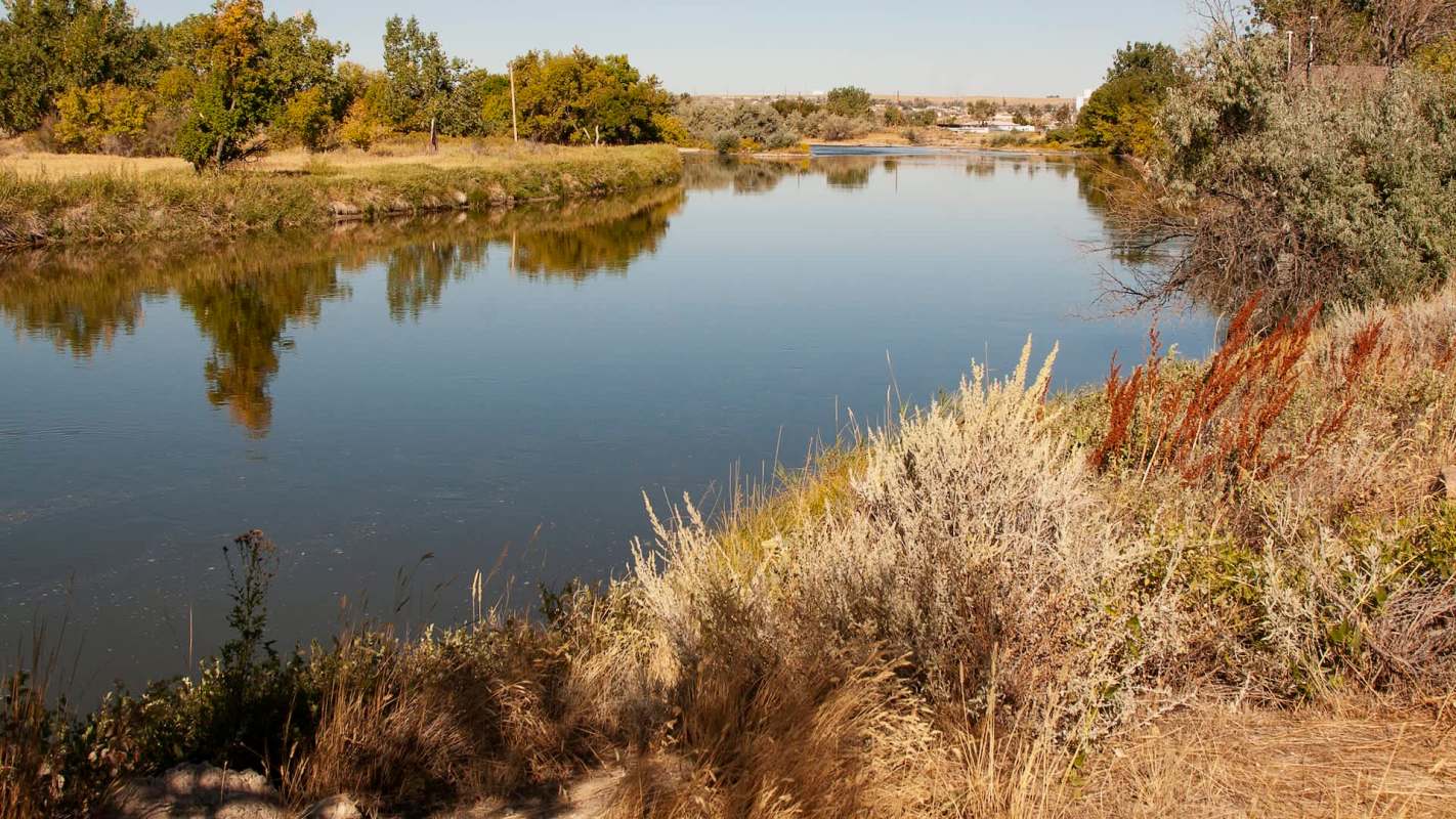 A Wyoming pond popular with local fishing enthusiasts has closed due to the threat of New Zealand mudsnails.