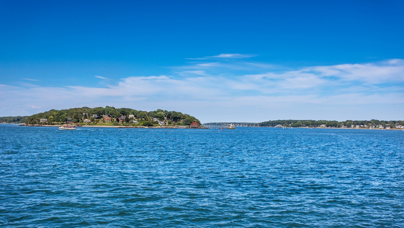 The North Atlantic right whales have been federally protected since their listing on the Endangered Species Act in 1970.