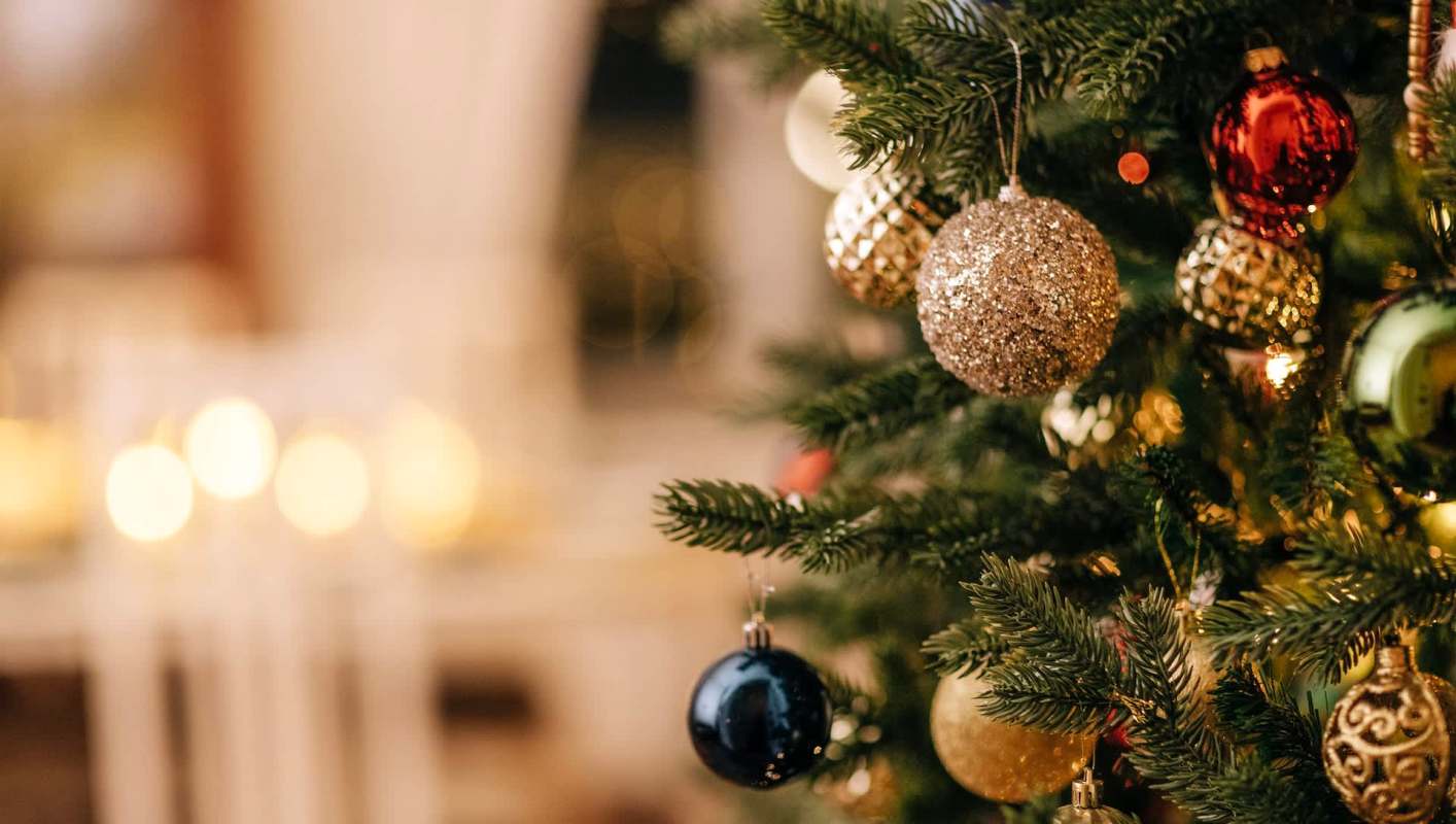 Researchers discovered that Norway spruce trees can accumulate gold in their needles thanks to soil bacteria.