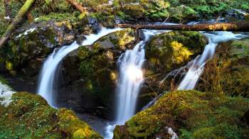One Redditor shared unsettling photos from Olympic National Park, showing how tourists endangered themselves and their children at a waterfall.