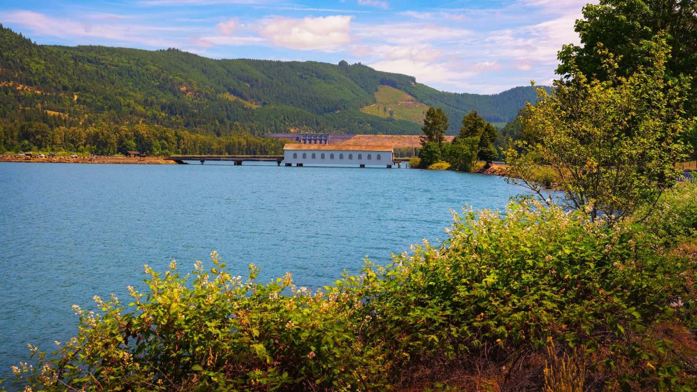 Oregon's water managers are celebrating an exciting milestone this fall.