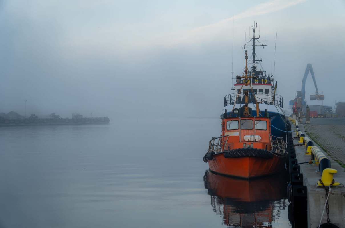A new study from the environmental group Greenpeace found high levels of "forever chemicals" in a number of animals in the Baltic Sea that are commonly eaten by people.