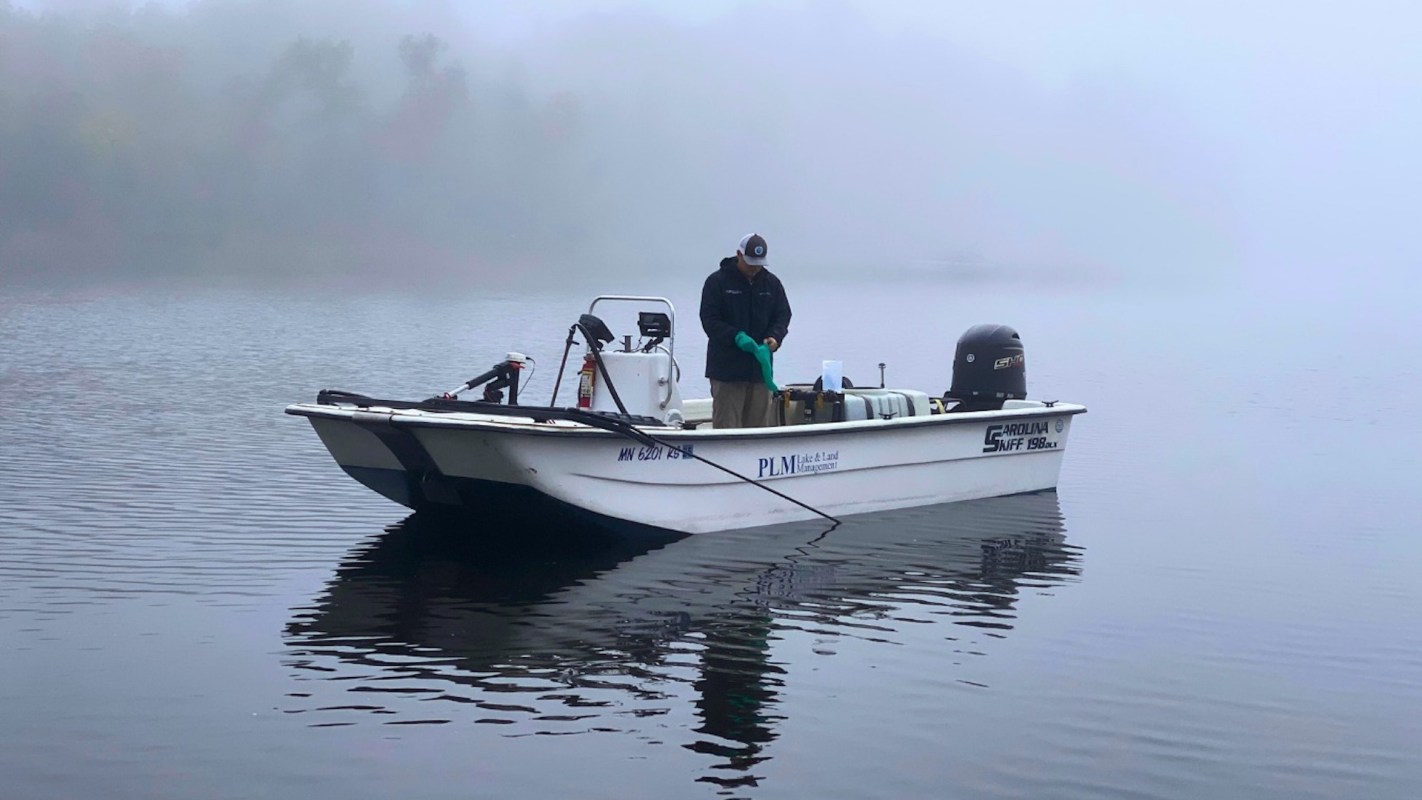 Officials in Otter Tail County, Minnesota, are raising awareness about the harmful aquatic invasive species, starry stonewort and zebra mussels.