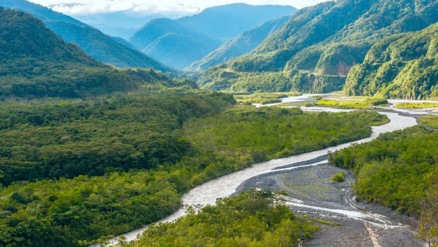 The Kichwa people of Pakayaku are quiet yet fierce protectors of the world, shielding over 70,000 hectares of pristine rainforest from destruction.