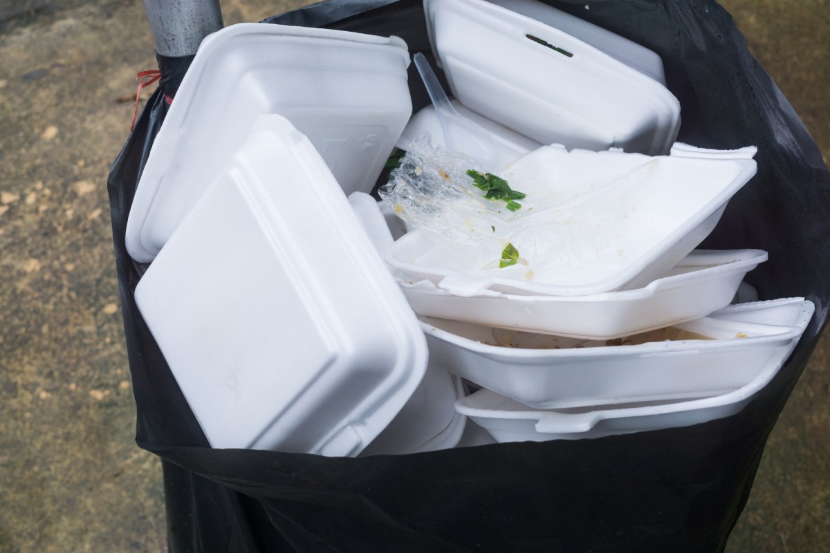 Panama's Ministry of the Environment has announced a ban on single-use plastics and polystyrene products in its protected areas.