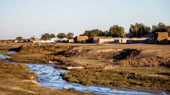 An Instagram user shared footage of an adult Persian leopard lying down and drinking water from a bucket.