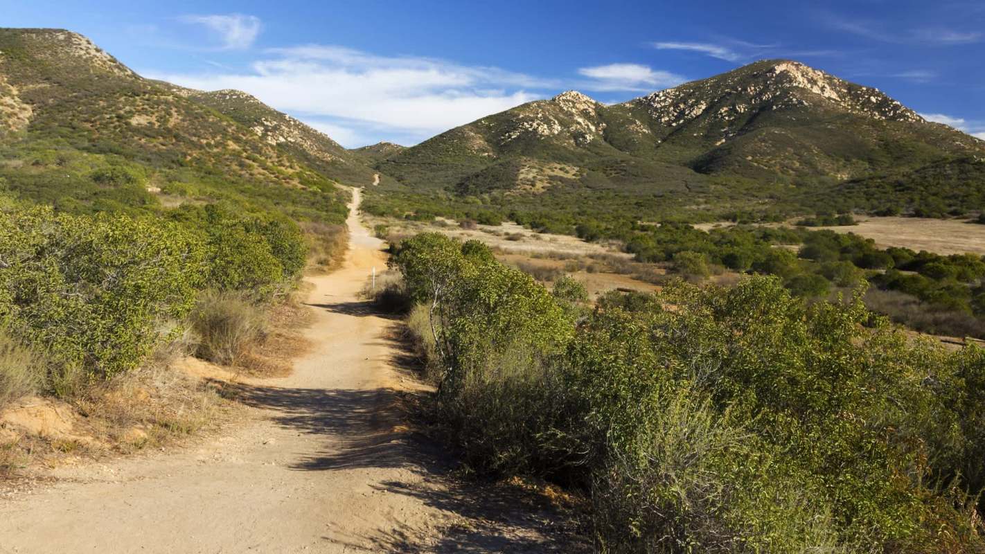 The city of Poway, California, has begun removing an estimated 2,500 dead or dying trees along major evacuation routes to ensure safer, faster escape during wildfires.
