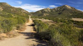 The city of Poway, California, has begun removing an estimated 2,500 dead or dying trees along major evacuation routes to ensure safer, faster escape during wildfires.