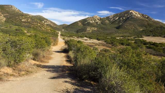 The city of Poway, California, has begun removing an estimated 2,500 dead or dying trees along major evacuation routes to ensure safer, faster escape during wildfires.