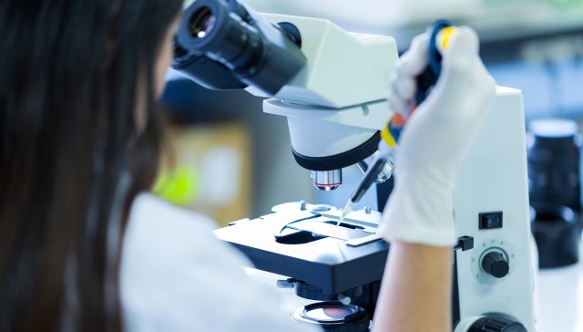 Researchers at the University of Bayreuth have found a way to strengthen polyester materials and make them far easier to recycle.