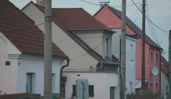 One Reddit user in Scotland showed how destructive Rhododendron ponticum can be outside its natural habitat.