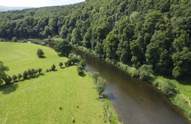 An Irish landowner is absolutely fuming after officials fined him for tearing apart a River Barrow tributary.
