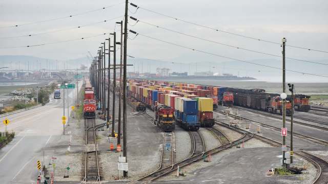 The Roberts Bank Terminal 2 project in Canada could threaten a critical stopover for millions of migratory birds and their unique food source.