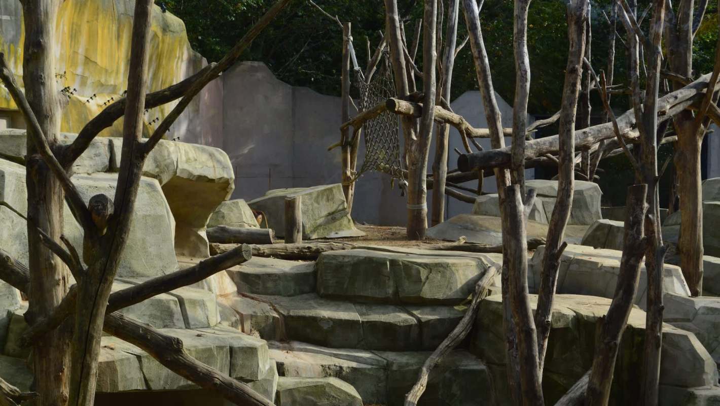 A TikTok user shared an exasperating scene from the San Diego Zoo, where visitors showed scant regard for the enjoyment of others.