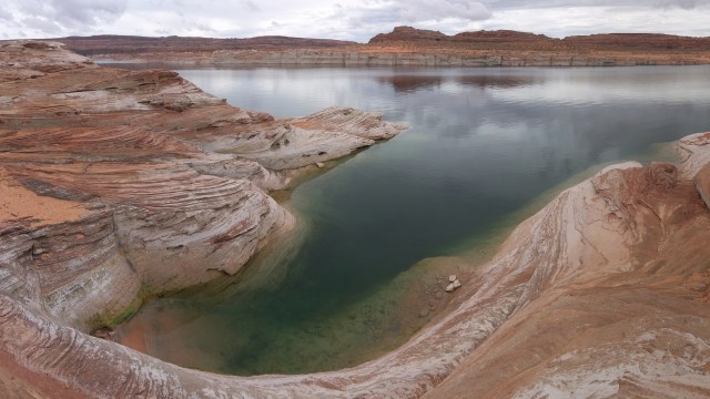 Scientists at Lake Powell have discovered an unlikely way that beavers are helping the environment.