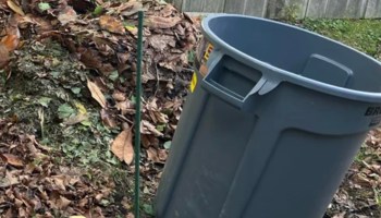 A Maryland homeowner returned from vacation to a devastating sight: the neighbor behind them had clear-cut an entire patch of trees, including a portion of their property.