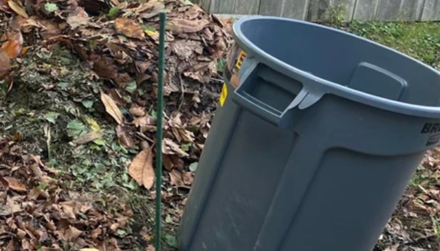 A Maryland homeowner returned from vacation to a devastating sight: the neighbor behind them had clear-cut an entire patch of trees, including a portion of their property.