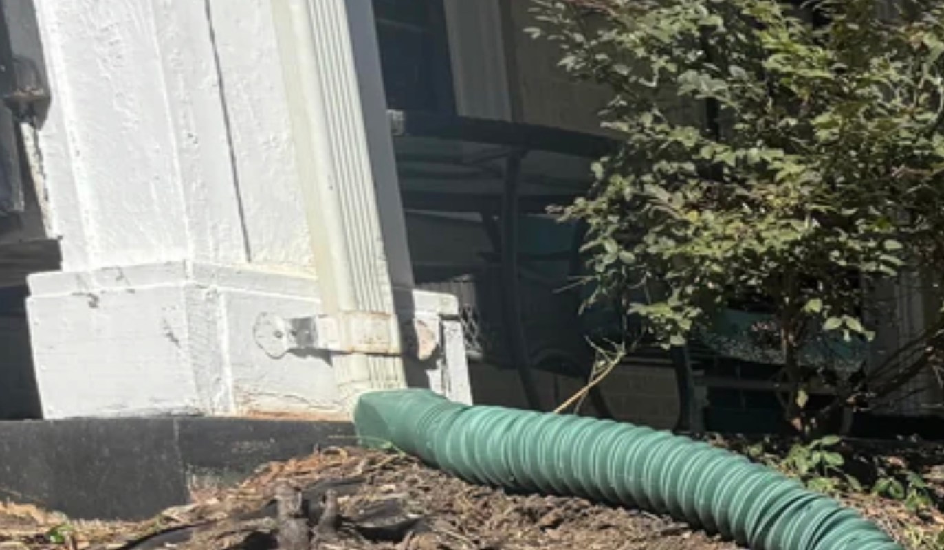 One Redditor was fed up with a terrible tarp-covered yard. Now, they're looking for help on what to do with the space.