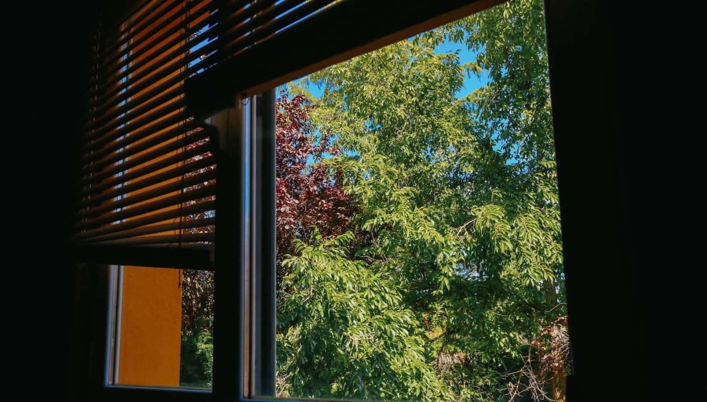 Singapore is seeing a rise in bug infestations as temperature-stressed insects and rodents move indoors due to record-breaking warmth.