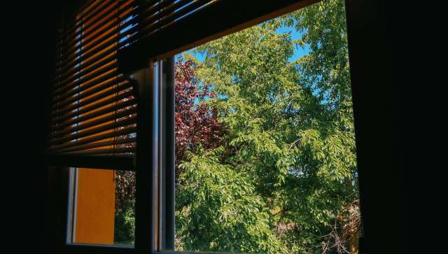 Singapore is seeing a rise in bug infestations as temperature-stressed insects and rodents move indoors due to record-breaking warmth.