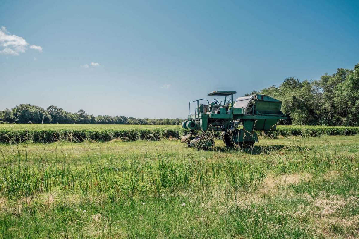 The continuing drought crisis in South Carolina is severely impacting crops critical to the state's economy, as other rising costs put the strain on farmers and communities.