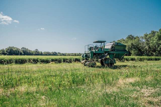 The continuing drought crisis in South Carolina is severely impacting crops critical to the state's economy, as other rising costs put the strain on farmers and communities.