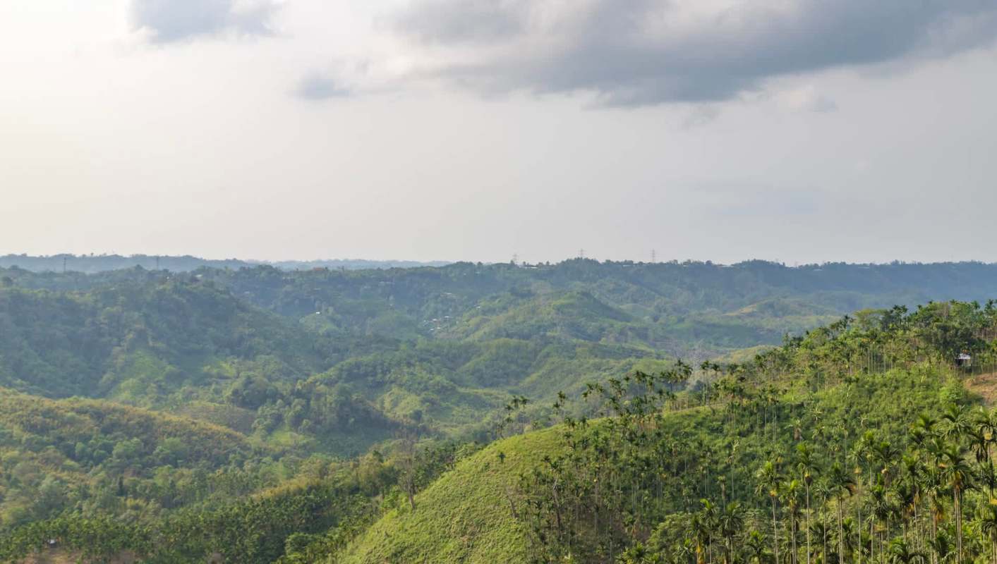 Botanists in India have rediscovered a species of flower lost for almost 100 years.