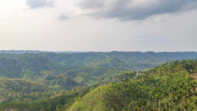 Botanists in India have rediscovered a species of flower lost for almost 100 years.