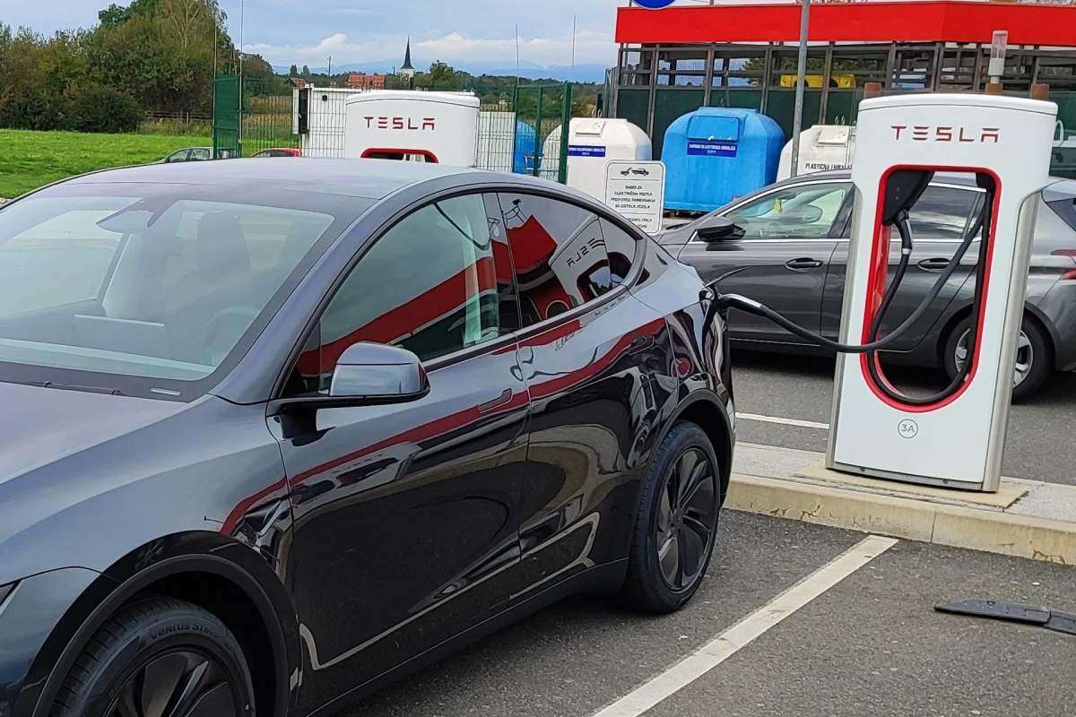 One new Tesla owner shared online about ordering a Model Y sight unseen and how they felt lucky to find the car so comfortable without a test drive.