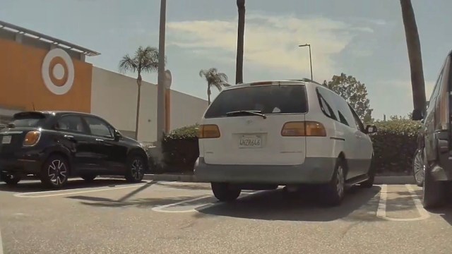 A Tesla driver was left shocked after reviewing surveillance footage from their car.